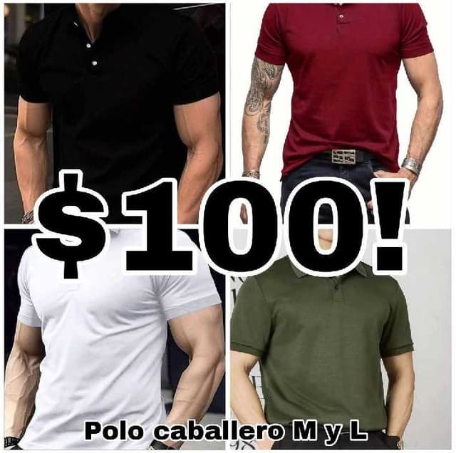 Camisa polo caballero